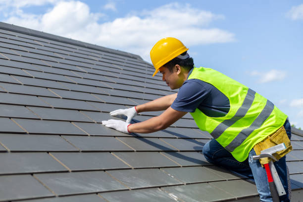 Roof Gutter Cleaning in Alto, TX