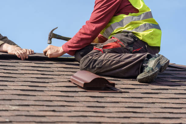 Best Storm Damage Roof Repair  in Alto, TX